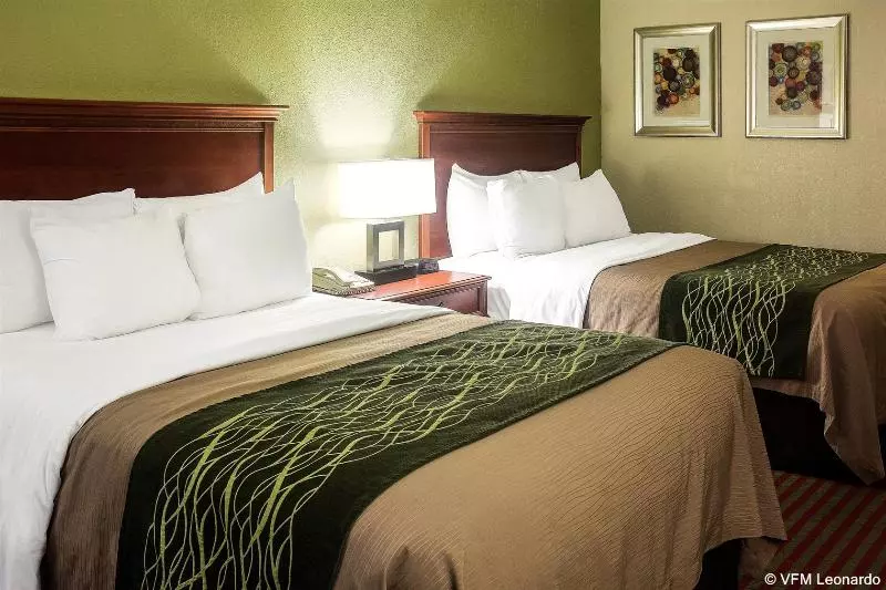 Otel Comfort Inn Newport News  Hampton I64