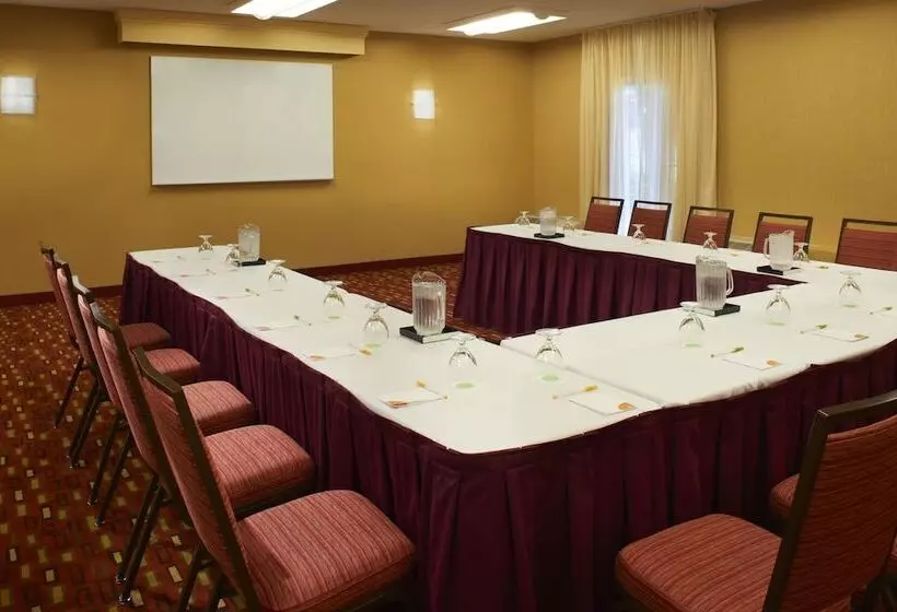 Отель Courtyard Detroit Metro Airport Romulus