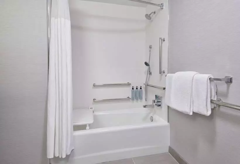 Отель Courtyard Detroit Metro Airport Romulus