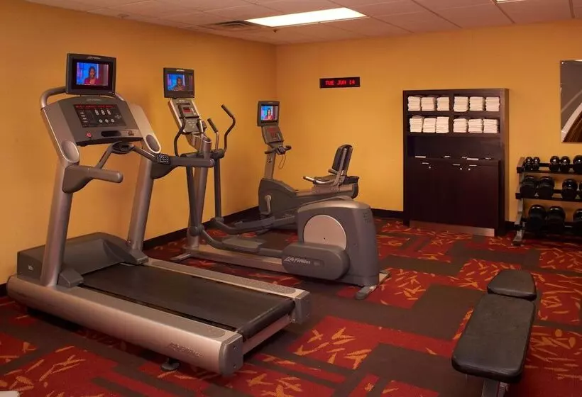 Отель Courtyard Detroit Metro Airport Romulus