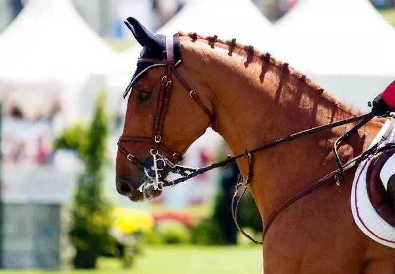 Hotel Courtyard Philadelphia Valley Forge/king Of Prussia