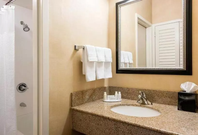 فندق Courtyard St. Louis Creve Coeur