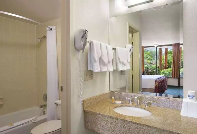 هتل Days Inn By Wyndham Orlando Conv. Center/international Dr