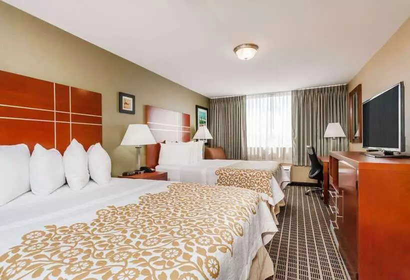 Hotel Days Inn By Wyndham Windsor Locks / Bradley Intl Airport