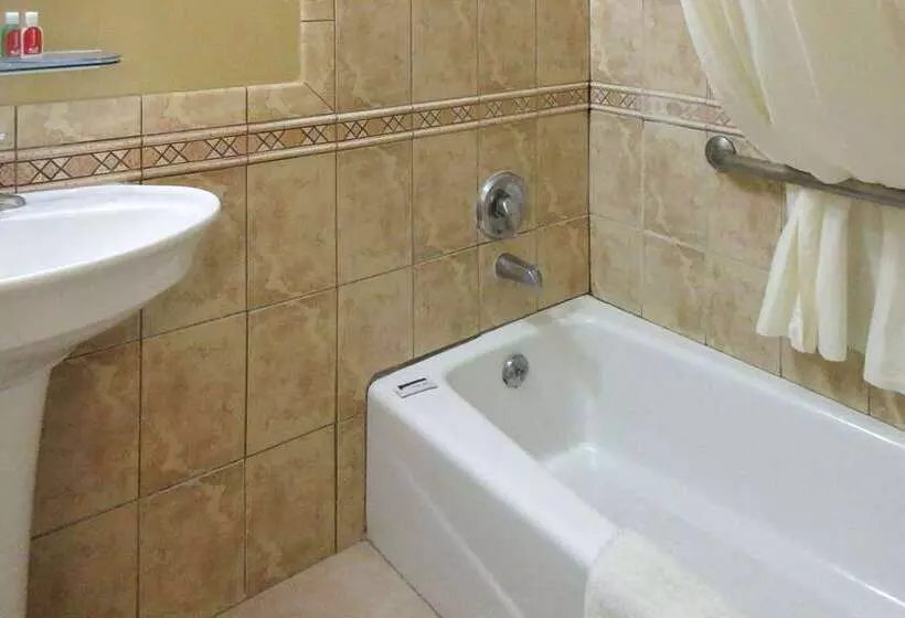 Отель Econo Lodge