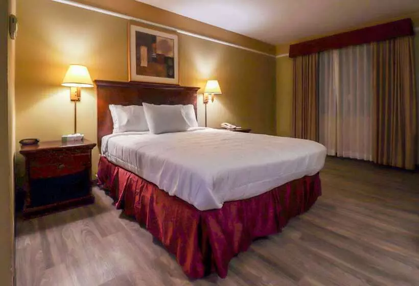 Отель Econo Lodge