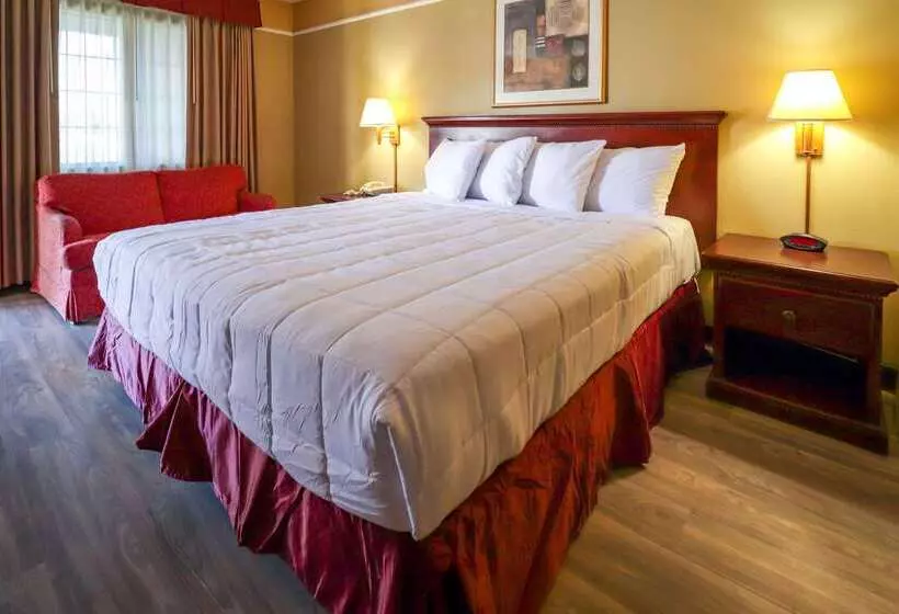 Отель Econo Lodge