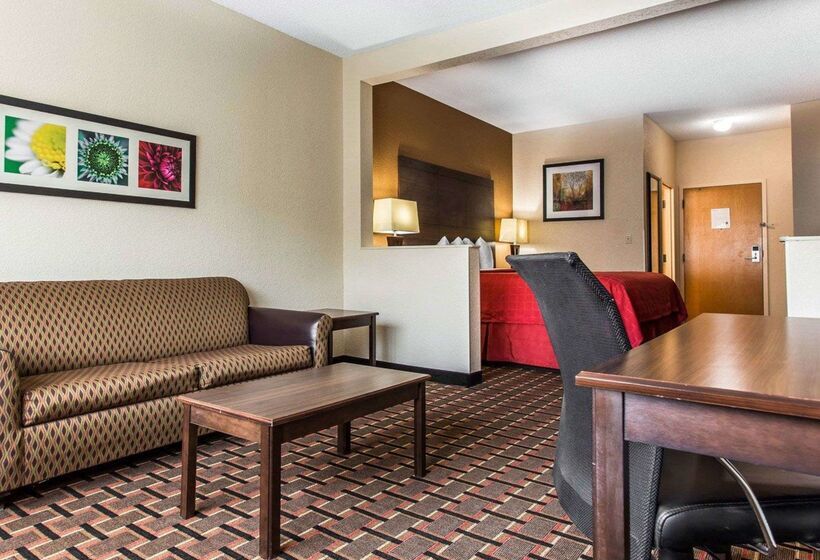 酒店 Quality Suites Hickory South