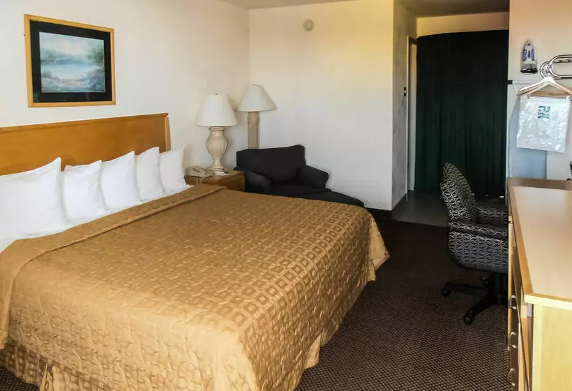 酒店 Quality Inn Albuquerque