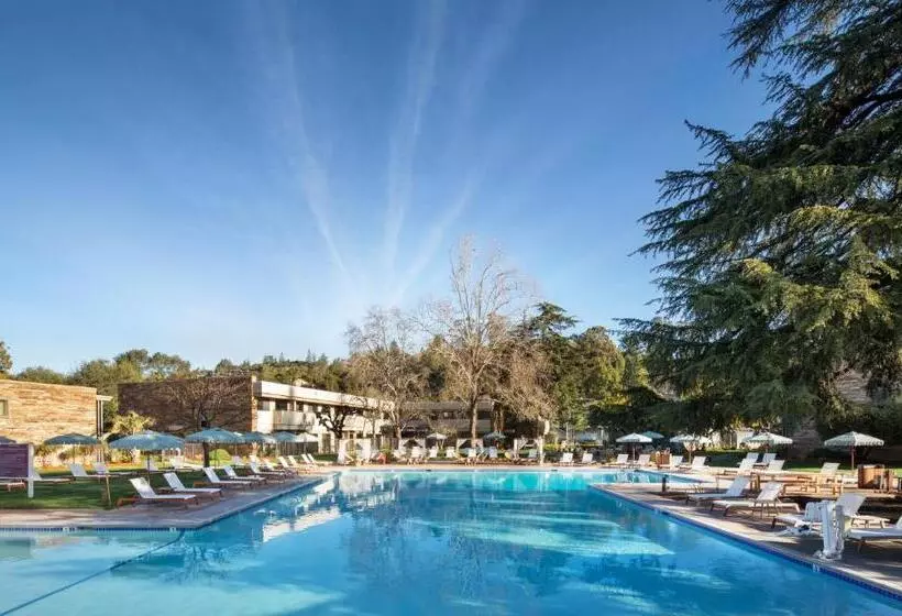 Flamingo Resort & Spa