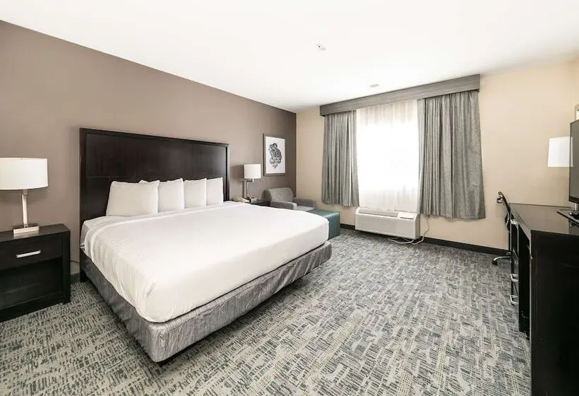 ホテル Best Western Inn & Suites San Diego Zoo Seaworld Area