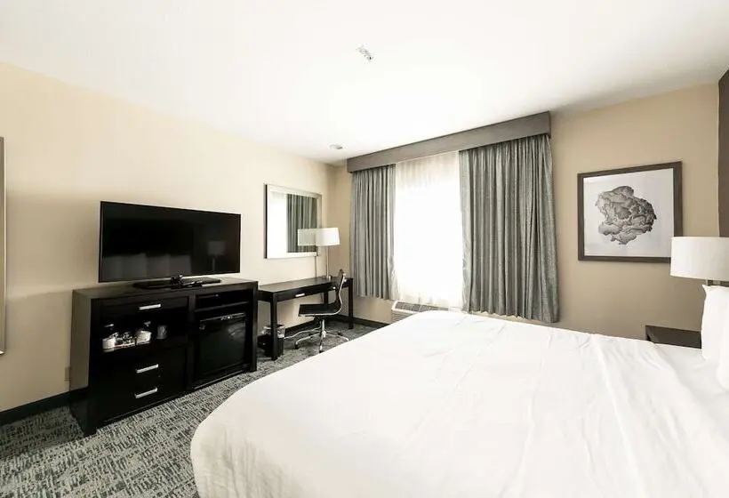 ホテル Best Western Inn & Suites San Diego Zoo Seaworld Area