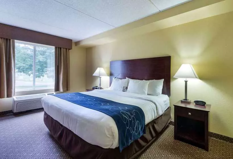 فندق Comfort Suites Near Gettysburg Battlefield Visitor Center