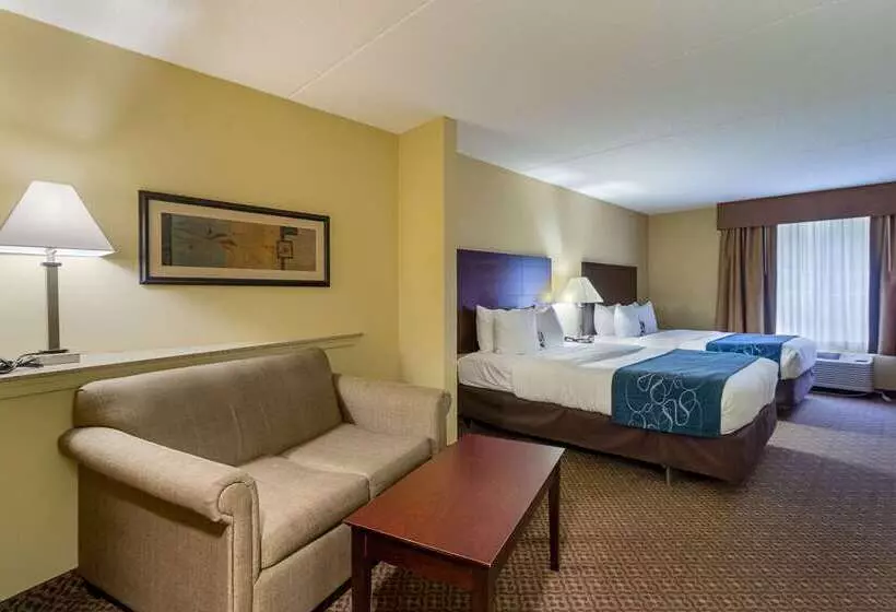 فندق Comfort Suites Near Gettysburg Battlefield Visitor Center