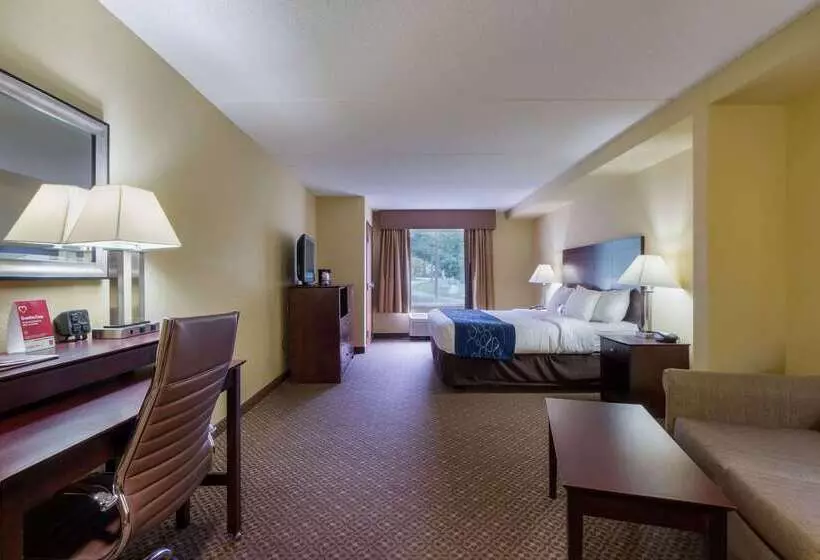 فندق Comfort Suites Near Gettysburg Battlefield Visitor Center