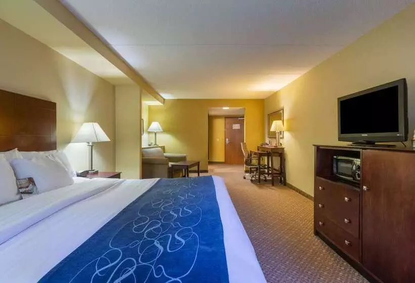 فندق Comfort Suites Near Gettysburg Battlefield Visitor Center