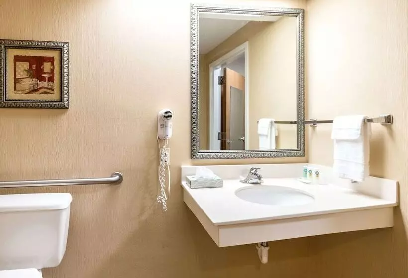 فندق Quality Inn
