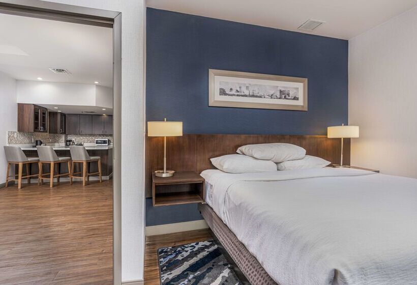 בית מלון כפרי Embassy Suites By Hilton Indianapolis Downtown