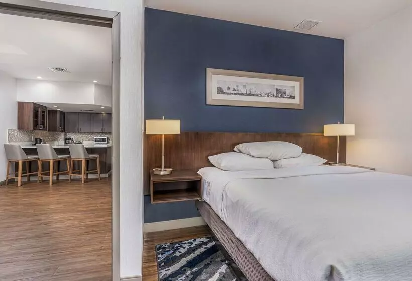 Отель Embassy Suites By Hilton Indianapolis Downtown