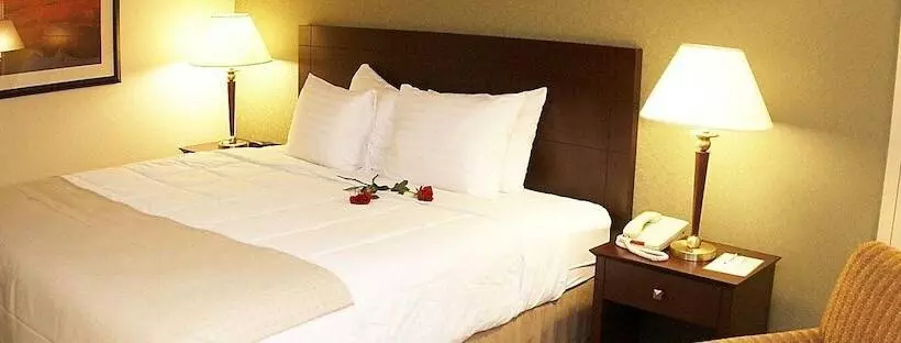 فندق Armoni Inn & Suites