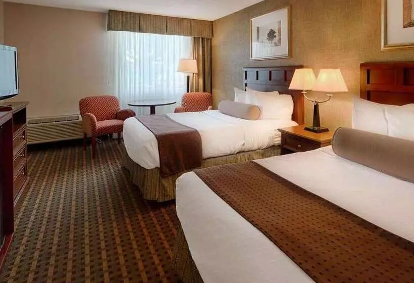 فندق Baymont Inn & Suites