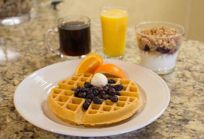 酒店 Best Western O Hare/elk Grove