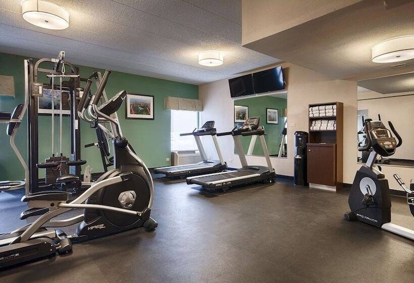 酒店 Best Western O Hare/elk Grove