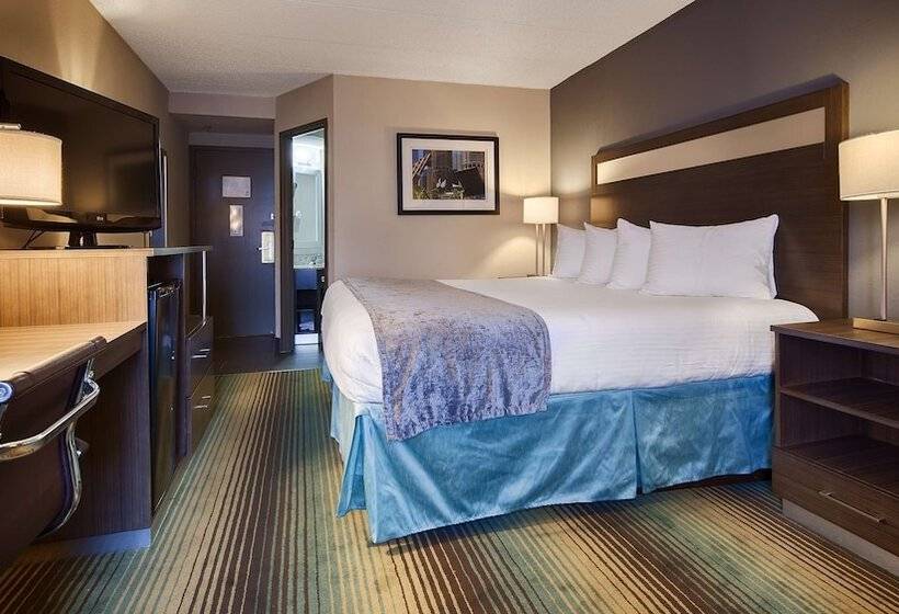 酒店 Best Western O Hare/elk Grove