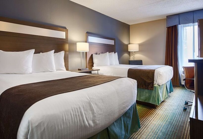 酒店 Best Western O Hare/elk Grove