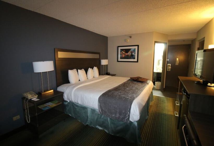 酒店 Best Western O Hare/elk Grove