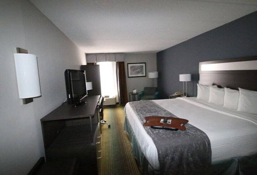 酒店 Best Western O Hare/elk Grove