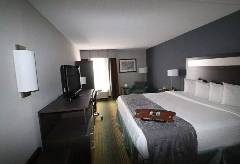 هتل Best Western O Hare/elk Grove