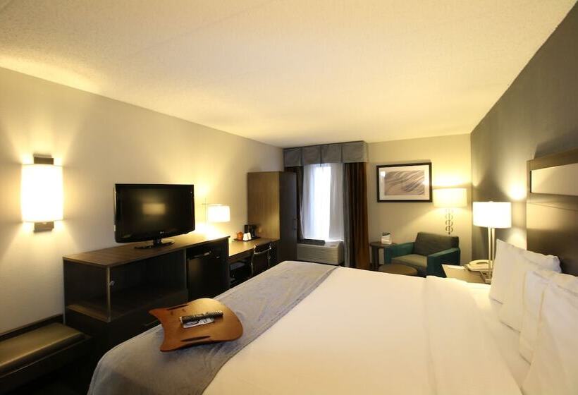 酒店 Best Western O Hare/elk Grove