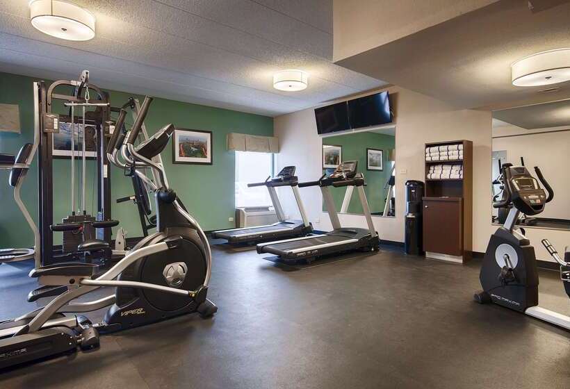 酒店 Best Western O Hare/elk Grove