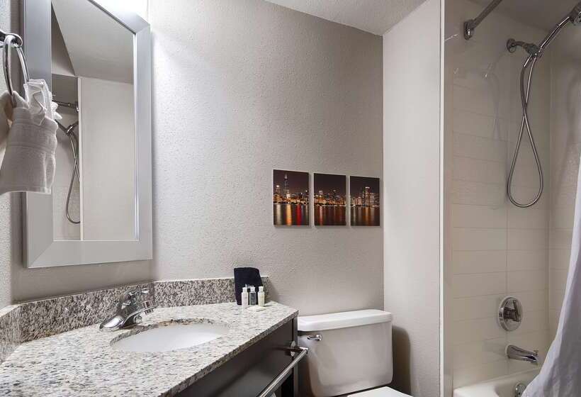 酒店 Best Western O Hare/elk Grove