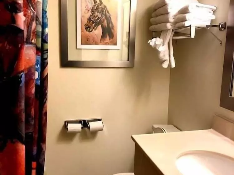 فندق Cedar Stables Inn & Suites