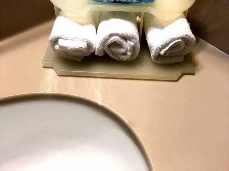 فندق Cedar Stables Inn & Suites