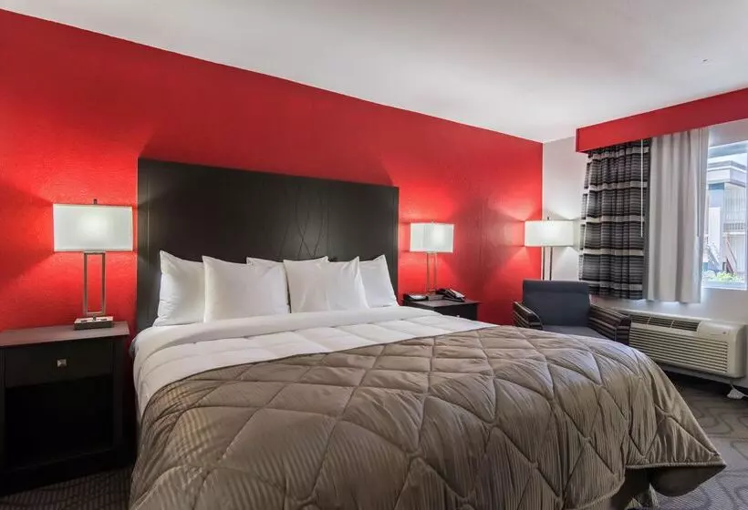 ホテル Clarion Inn & Suites Russellville I40