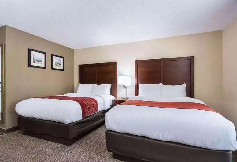 Отель Comfort Inn
