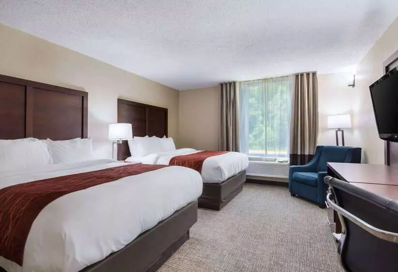 Отель Comfort Inn