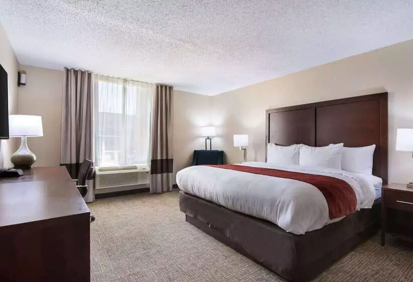 Отель Comfort Inn