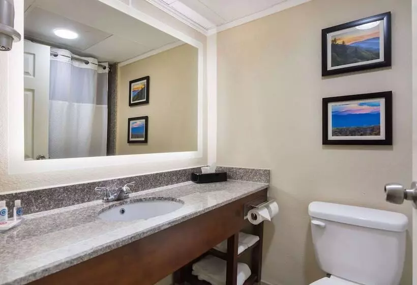 Отель Comfort Inn