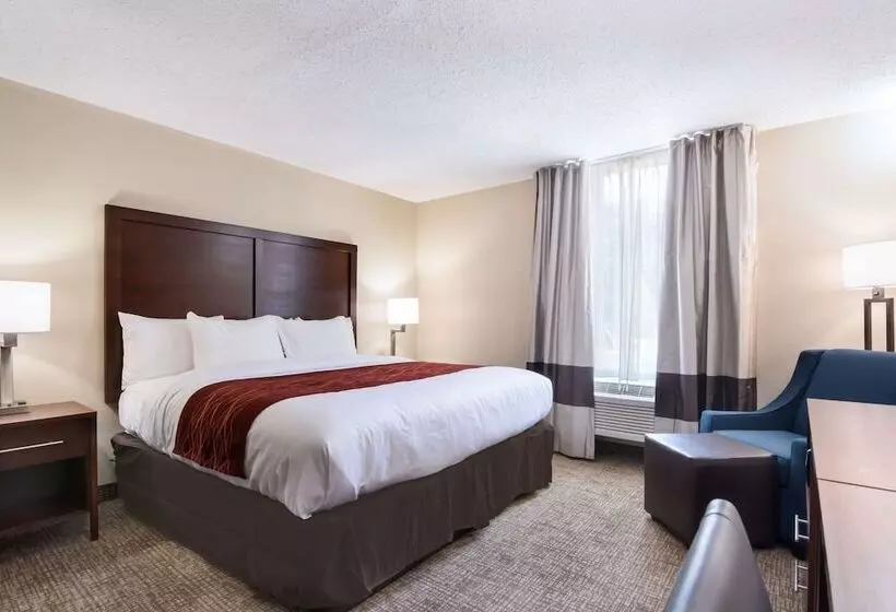 Отель Comfort Inn