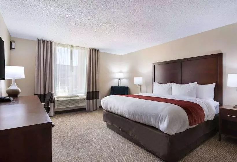 Отель Comfort Inn