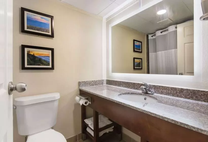 Отель Comfort Inn