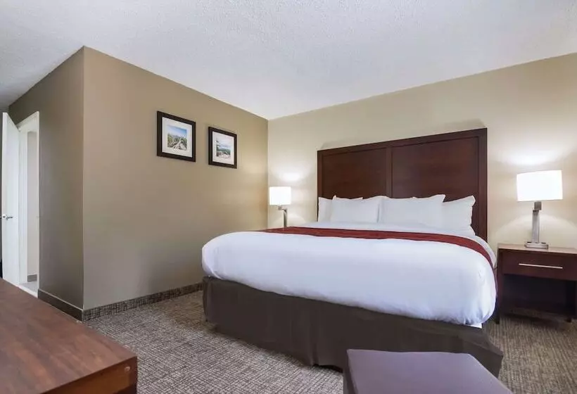 Отель Comfort Inn