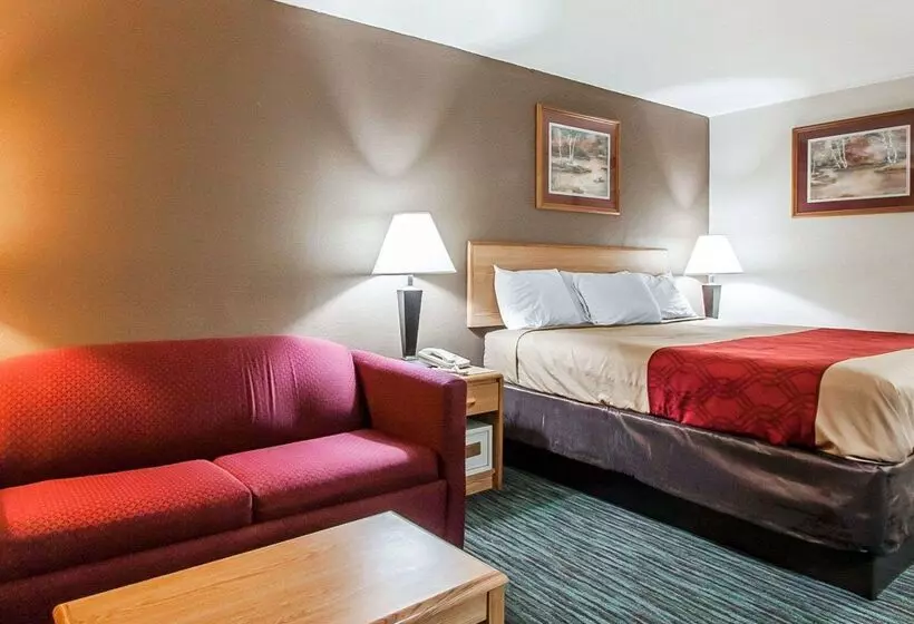 Otel Econo Lodge Inn And Suites   Jackson
