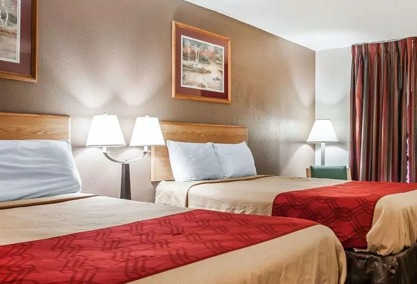 Otel Econo Lodge Inn And Suites   Jackson