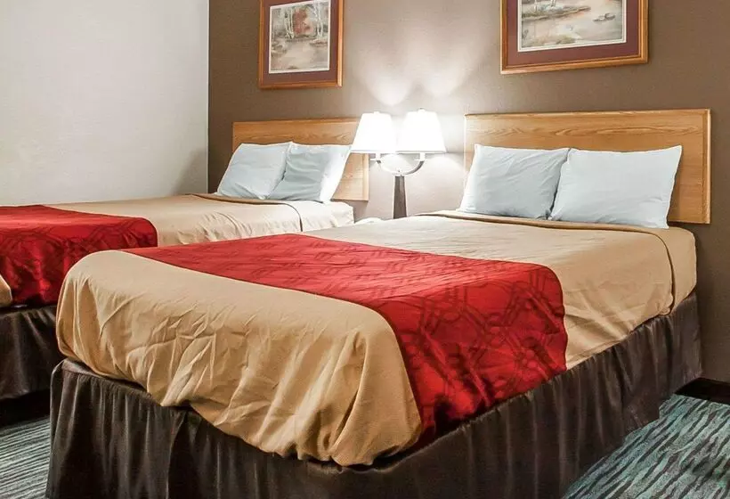 Otel Econo Lodge Inn And Suites   Jackson