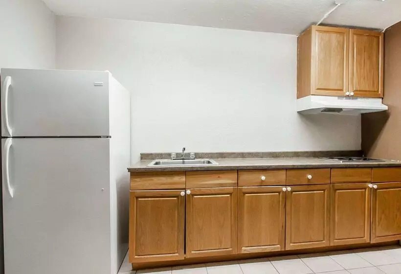 Otel Econo Lodge Inn And Suites   Jackson